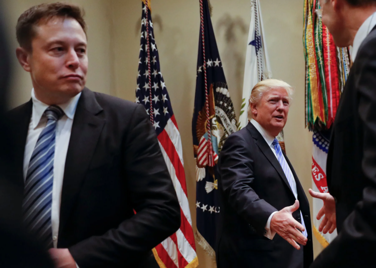 Elon