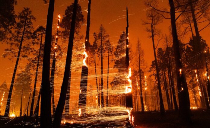 Aumentan a once los muertos tras incendios en los ángeles