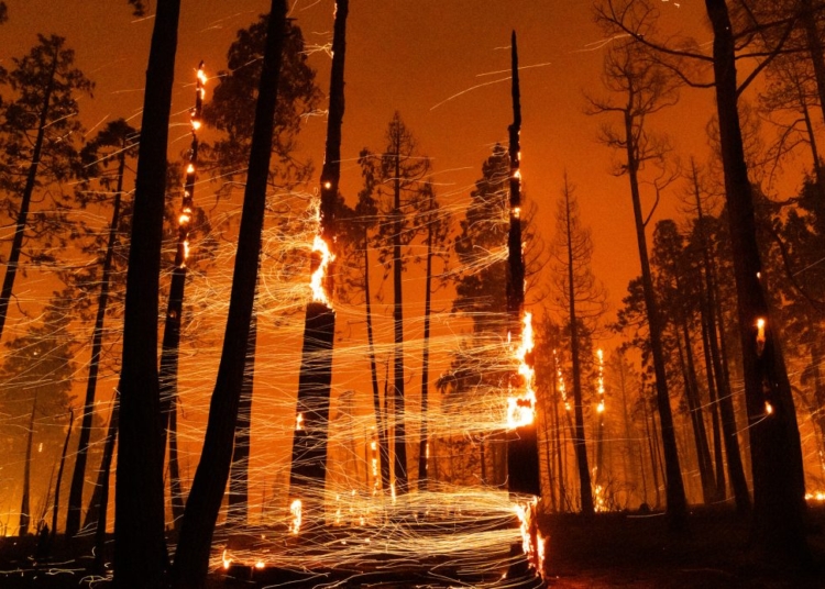 08frank bthl superJumbo 1140x694 1