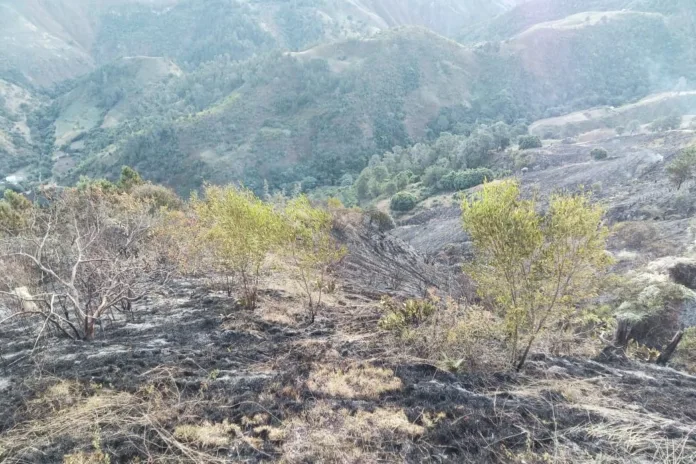 Bomberos forestales de medio ambiente controlan incendio en valle nuevo, constanza