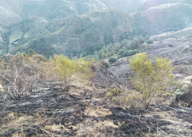 0e8a53ff 6adc 4b57 926d 466881a71876