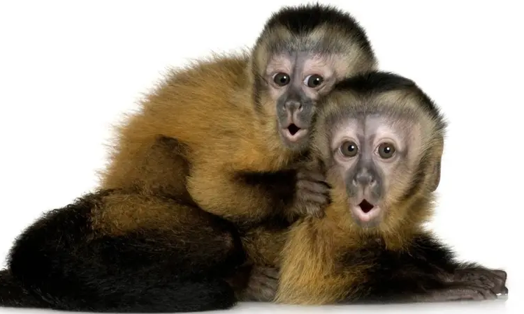 101009787 gettyimages 93212664.jpg