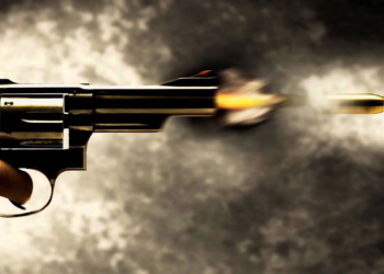 202fcbe3 d9cf 4363 a199 2942baacce0d