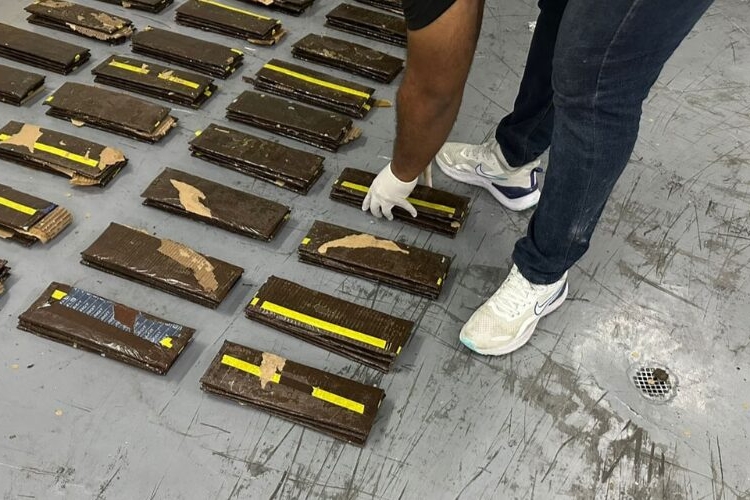 4964bb2e 038b 4758 ba1a 9fa2f5def01b