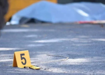 60271816 9ace 48ad 9d48 a788fc6eb46e