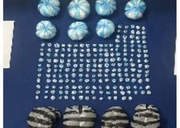 6154a2fa 9af9 4aaf b436 cb7477e08354