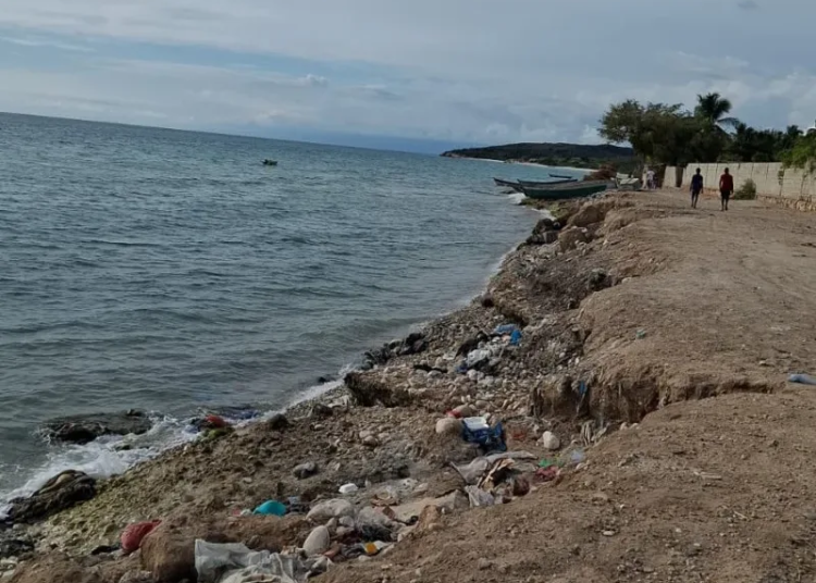 6779e6b54cff9 e1736047652441