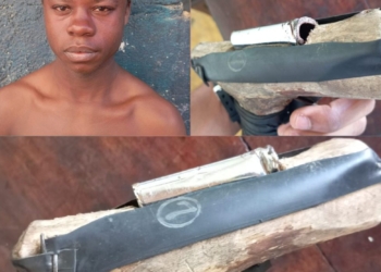 8eaaff02 14d9 4fac 9c65 f6ae9e8e8931