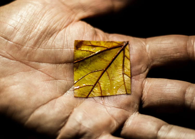 AdobeStock 308553129 1500x1000.jpeg