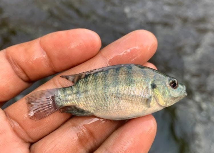 C921543D 7301 42E1 BCE0 B809383F26C1