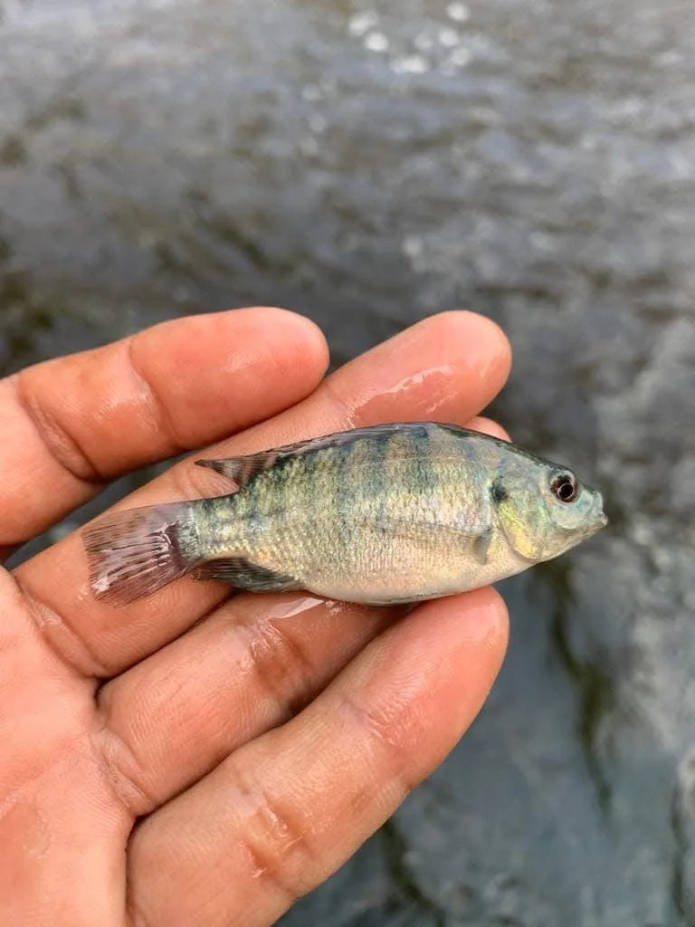 C921543D 7301 42E1 BCE0 B809383F26C1