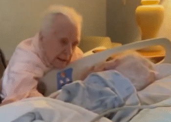 Captura de pantalla 2025 01 31 073542