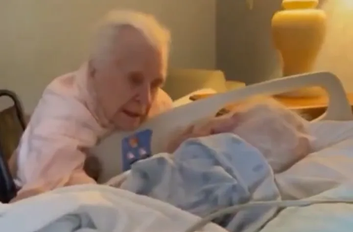 Captura de pantalla 2025 01 31 073542