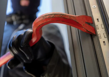 D477af09 d256 4433 b68e 13e2ec0d426b