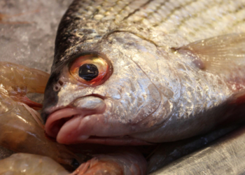 Entre los afectados se encuentra un menor de edad fueron trasladados al Hospital Regional Jaime Mota