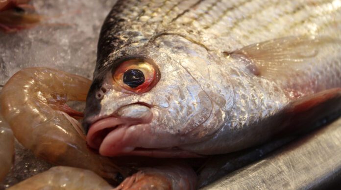 Intoxicación por pescado afecta a varias personas en barahona