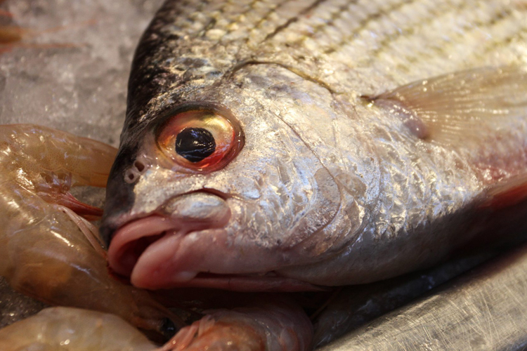 Entre los afectados se encuentra un menor de edad fueron trasladados al Hospital Regional Jaime Mota