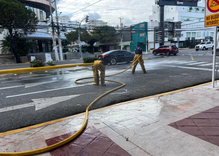 Whatsapp image 2025 01 02 at 11. 50. 12 am