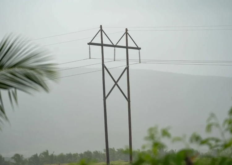 WhatsApp Image 2025 01 08 at 10.38.53 AM