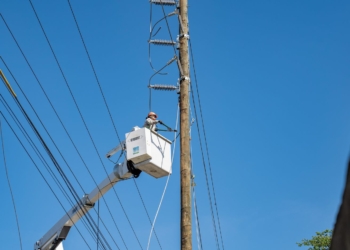 Whatsapp image 2025 01 10 at 8. 26. 03 pm