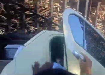 WhatsApp Image 2025 01 12 at 7.37.29 PM