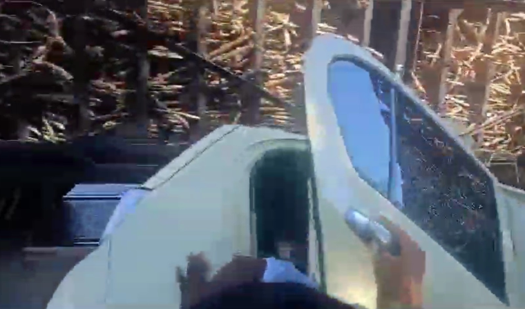 WhatsApp Image 2025 01 12 at 7.37.29 PM