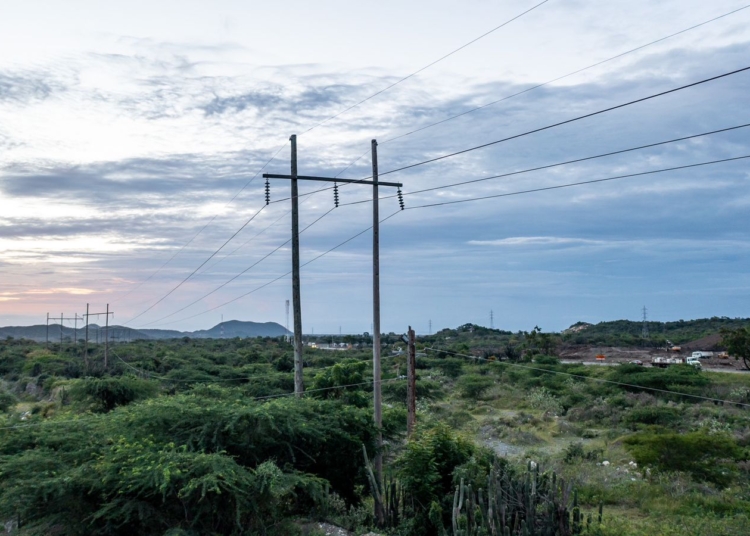 WhatsApp Image 2025 01 14 at 10.36.17 AM