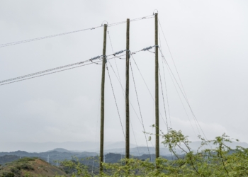 WhatsApp Image 2025 01 15 at 1.40.49 PM 1