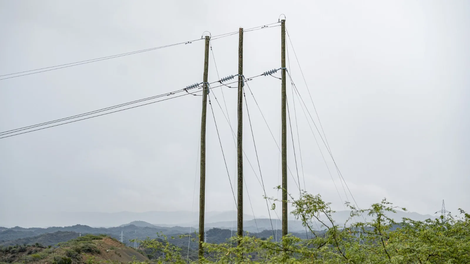 WhatsApp Image 2025 01 15 at 1.40.49 PM 1