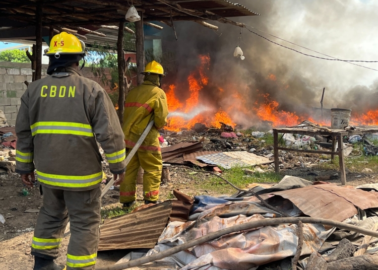 WhatsApp Image 2025 01 20 at 11.15.52 AM