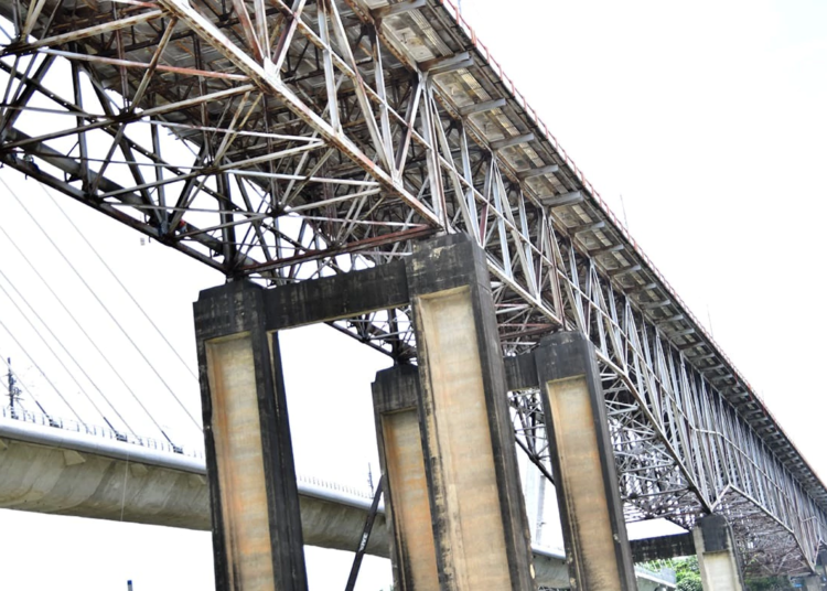 WhatsApp Image 2025 01 20 at 4.13.19 PM