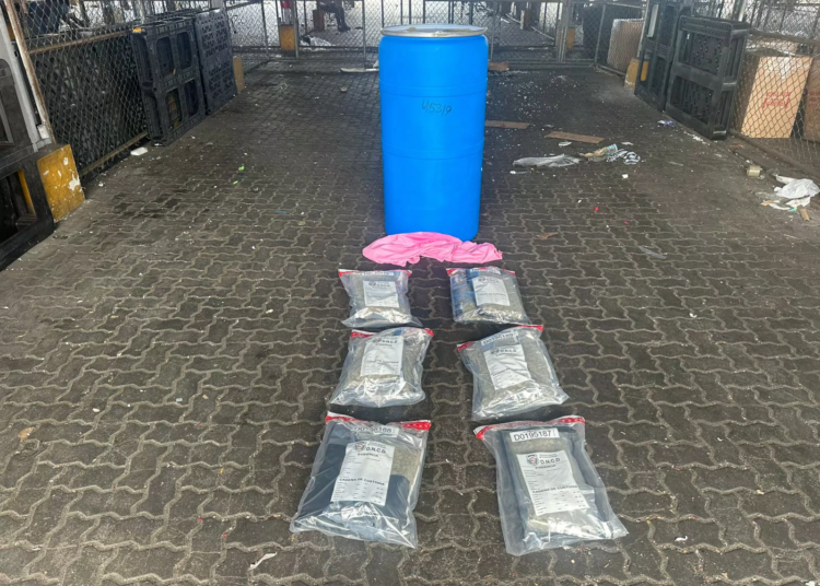 WhatsApp Image 2025 01 28 at 11.35.05 AM1