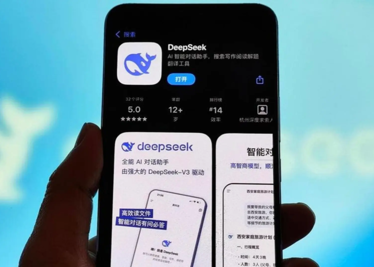 deepseek 1