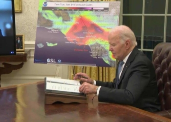 rescatistas buscan cadaveres en medio de incendios en los angeles focus 0.27 0.23 896 504