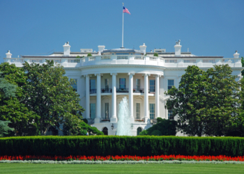 17301201355362 scaled