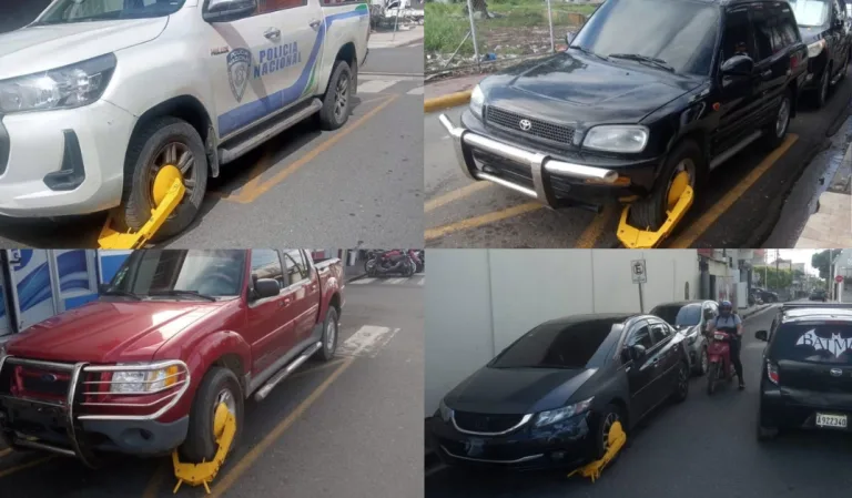 40692a21 6fc5 4a35 8be2 5c2933de79fc