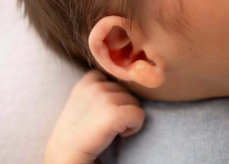 Adobestock 500944773 1500x1000. Jpeg