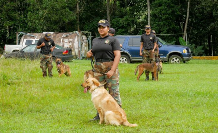 55 caninos refuerzan las operaciones de la DNCD contra el narcotráfico