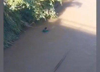 Captura de pantalla 2025 02 04 094507