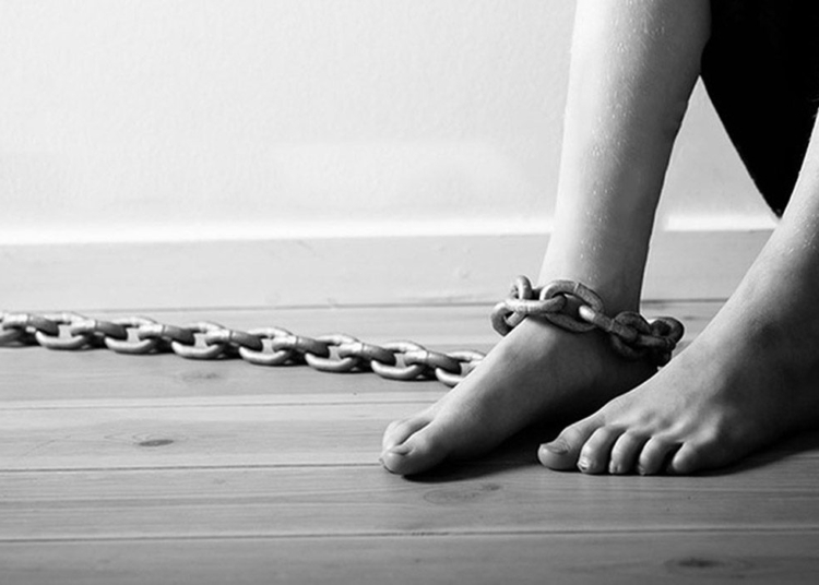 EB1A9A4E C9BB 4342 A71E 3B768A43239F