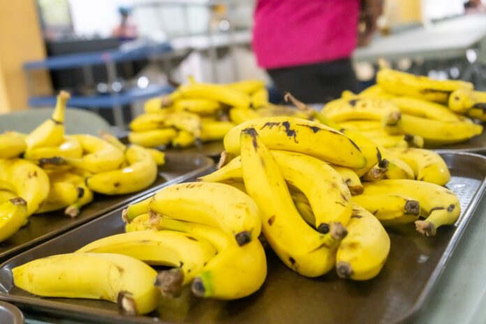 Distribución de frutas en la alimentación escolar avanza a buen ritmo, informa INABIE