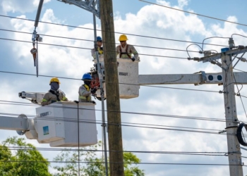 Img 20241205 wa00201 768x512 1