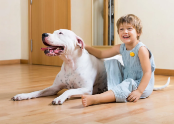 La relacion entre ninos y pitbulls un analisis completo 1500x1014. Jpg