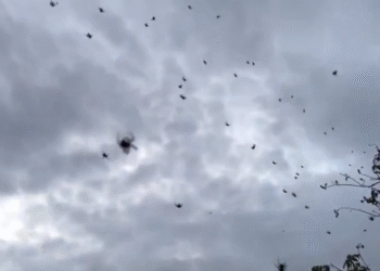 Screenshot 2025 02 01 204917