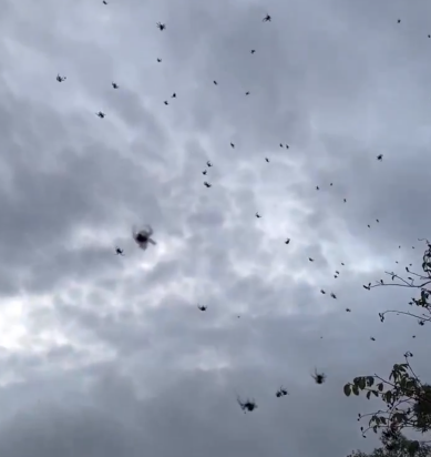 Screenshot 2025 02 01 204917