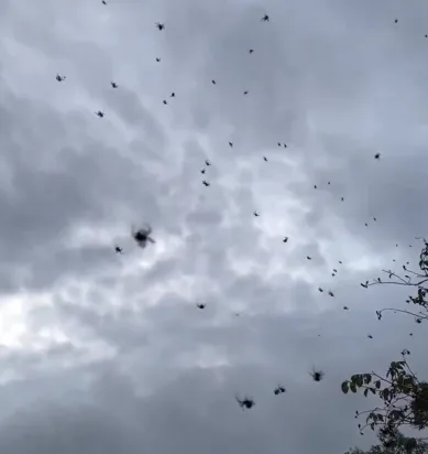 Screenshot 2025 02 01 204917