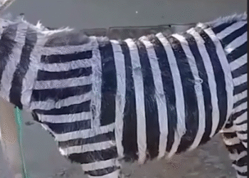 Screenshot 2025 02 14 210957