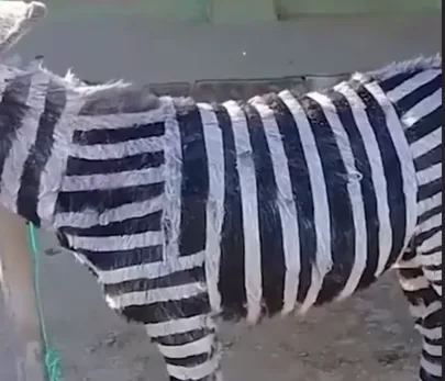 Screenshot 2025 02 14 210957