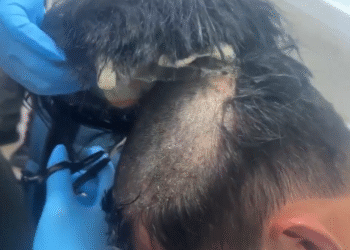 Screenshot 2025 02 24 180142