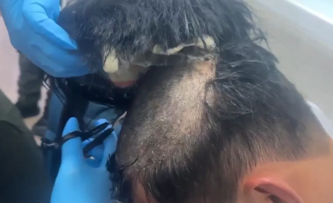 Screenshot 2025 02 24 180142